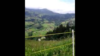 luge track fail with a view over the Alps