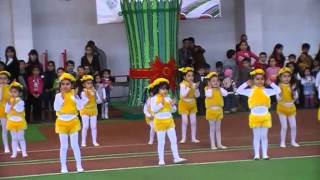 Aysel reqs qrupu Novruz shenliyi cuce reqsi