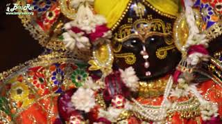 Shri Radha Vallabh Darshan [Close Up] | Braj Ras