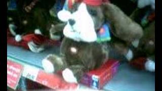 Freaky Christmas dog