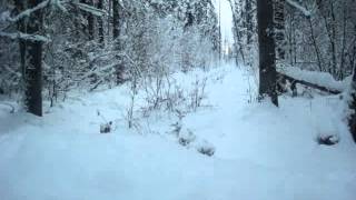 Зимник на Юрубчено-Тохомское месторождение
