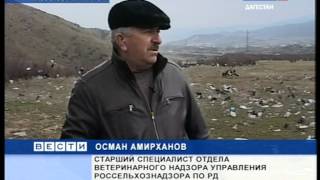 Мусор в Казбековском районе