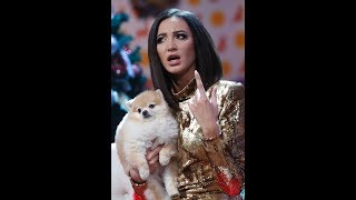 Жаждущая секса Бузова осталась без мужчины на семь лет