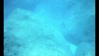 SCUBA Dive With ATC-2000 Action camera