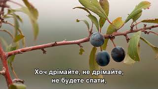 Цвіте терен - Наташа Королева, Диана Гурцкая, Анастасия Спиридонова, Зара (Subtitles)