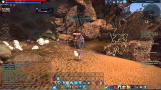 TERA Online - Mystic BAM Solo Gameplay