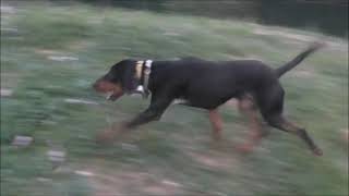 3036