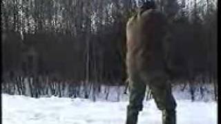 охота на дикого секача в загоне