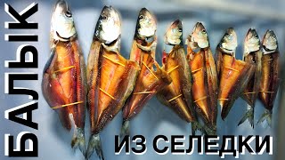 Простой рецепт из селёдки. Балык сухого посола