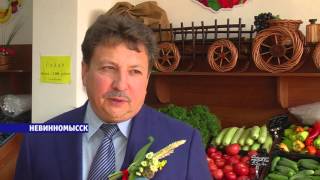 ДЕТАЛИ выпуск от 13.10.2015