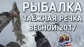 РЫБАЛКА / ТАЕЖНЫЕ РЕКИ В АПРЕЛЕ 2017 ГОД / БРАТЬЯ ПРИХОДЬКО