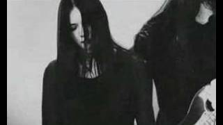 Tvangeste - Raven