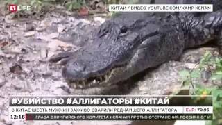 В Китае шесть мужчин заживо сварили редчайшего аллигатора