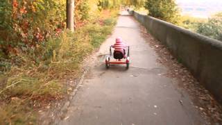 Schwinn Roadster Trike