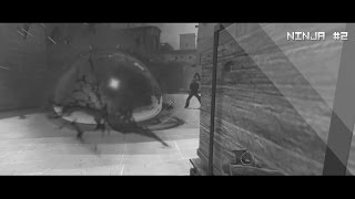 CSGO - Ninja #2