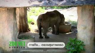 Zoo Vet Stories ตอน การขนย้ายสัตว์ ฯลฯ 2