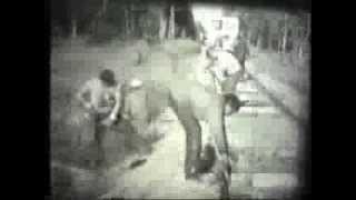 ССО "Искатель" 1981г.