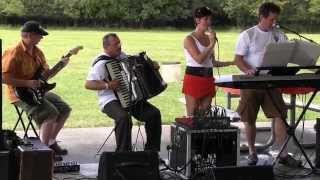 Piknik Klubu Ochotnica Chicago 07 27 2014