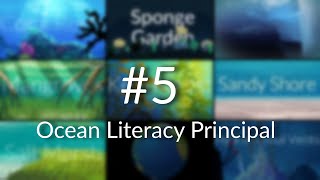 Ocean Literacy Principle 5: The Ocean Supports Earth’s Diversity | Nautilus Live