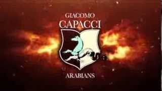 Giacomo Capacci Arabians