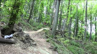 Weidlingbach - Freeride - Hometrail 2015