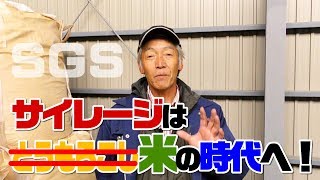 デントコーンに代わるサイレージ！ソフトグレインサイレージ　デイリーネットワーク【第１３回】
