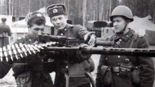 ОМСДОН Второй полк ДМБ 83