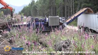 Peterson 5710C Horizontal Grinder
