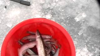 Зимняя рыбалка на реке Сучан 05.01.2015