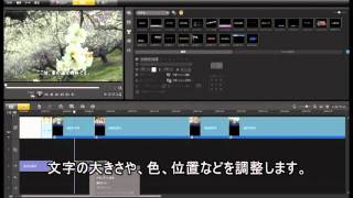 Video Studio Pro X4 編集～DVDまでの使い方(音声解説付き)