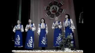 Лисапед. Ансамбль Незабудки с.Криве с.Криве Підв-район.