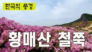 2019 황매산 철쭉 (3) - 국내최대 철쭉 군락지, 경남합천, 한국의 관광지, 한국의풍경, 베스트여행지, 주말여행지, TV한국여행