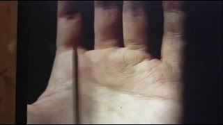 Самый сильный знак говорящий о обеспеченной жизни, счастья, богатства, счастливого супружества