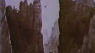 動物衝撃映像（ヒマラヤン・アイベックス）