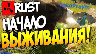Выживание на классическом пиратском сервере. Как и где бесплатно играть в Rust. Выживаем на Alkade