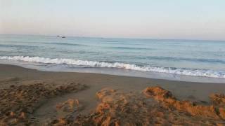 Дорога к морю и просто пляж отеля  Crystal Palace Luxury Resort & SPA