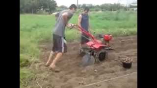 Посадка картошки мотоблоком