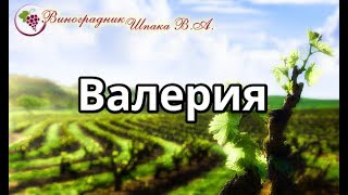 Валерия