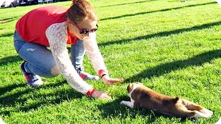 VLOG: ЩЕНОК И ДОВОЛЬНАЯ КАТЯ! 26.03.16
