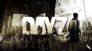 Как играть в Arma2:Dayz через Steam
