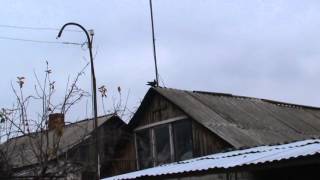 Ястреб, борьба с ним 005