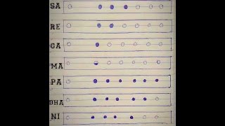 Online Bansuri / Flute Lesson - Beginner's How to play sa re ga ma flute LessonsFor Beginner