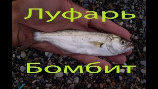 Рыбалка на луфаря в черном море - Рокфишинг )) Бешеный клёв на колебалки