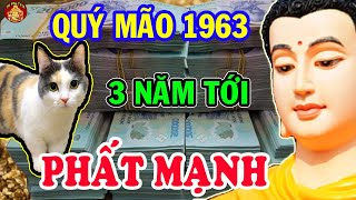 Sách Trời Đã Ghi Quý Mão 1963 KHỔ TRƯỚC SƯỚNG SAU 3 Năm Tới Chắc Chắn Đổi Vận