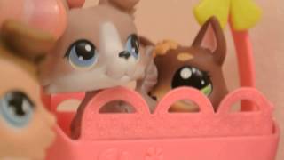 LPS: Truth or Dare