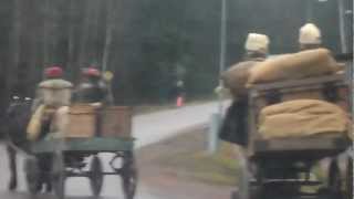 Forresan längs med Nämnsbovägen i Säter med Nordsvenska arbetshästar.
