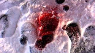 The Crimson Snow March