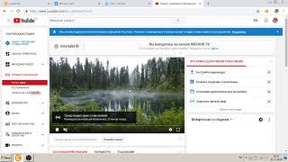 Где взять ключ потока для OBS ?