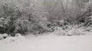 Would you like some Snowy Juice ?