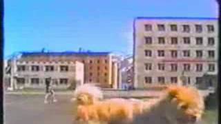 Бухта Провидения